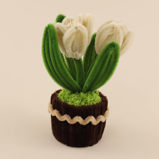 Tulips DIY Kit