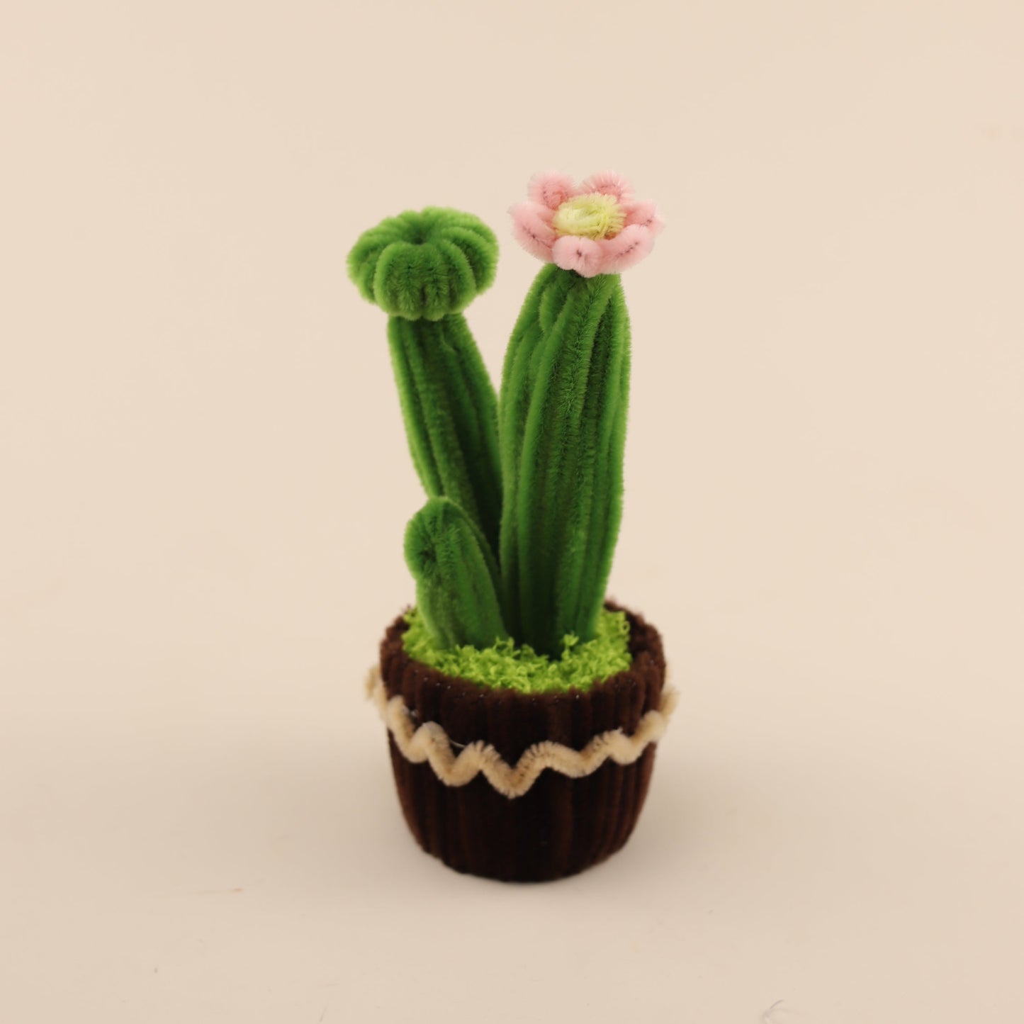 Cactus DIY Kit