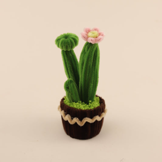 Cactus DIY Kit