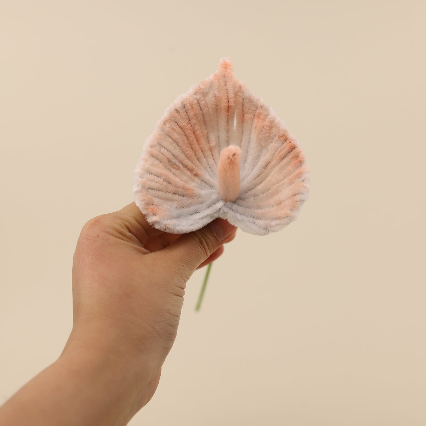 Anthuriums DIY Kit