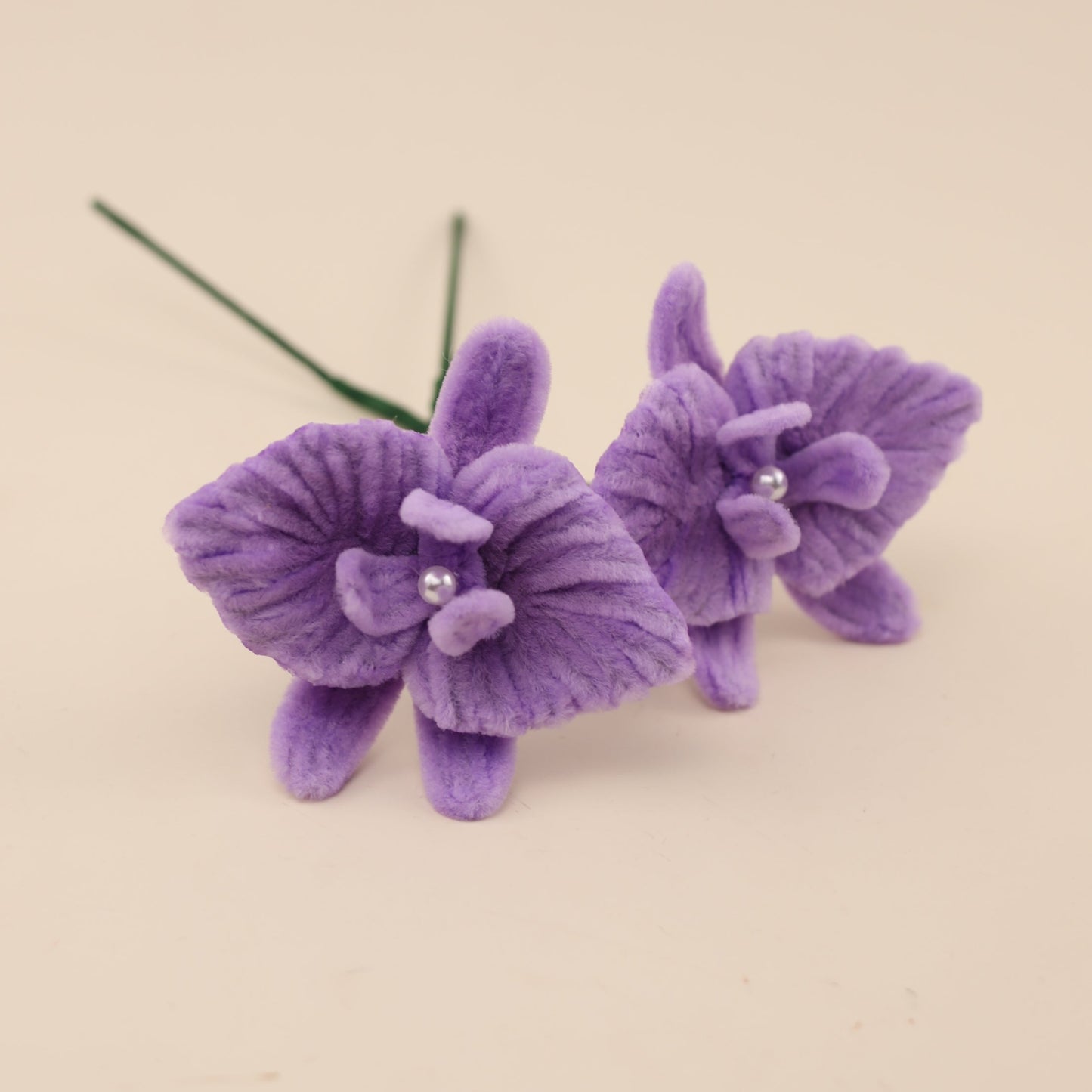 Orchids DIY Kit