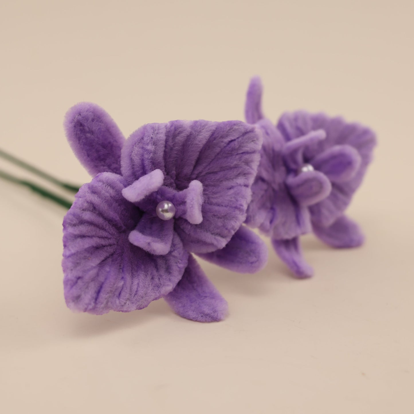 Orchids DIY Kit