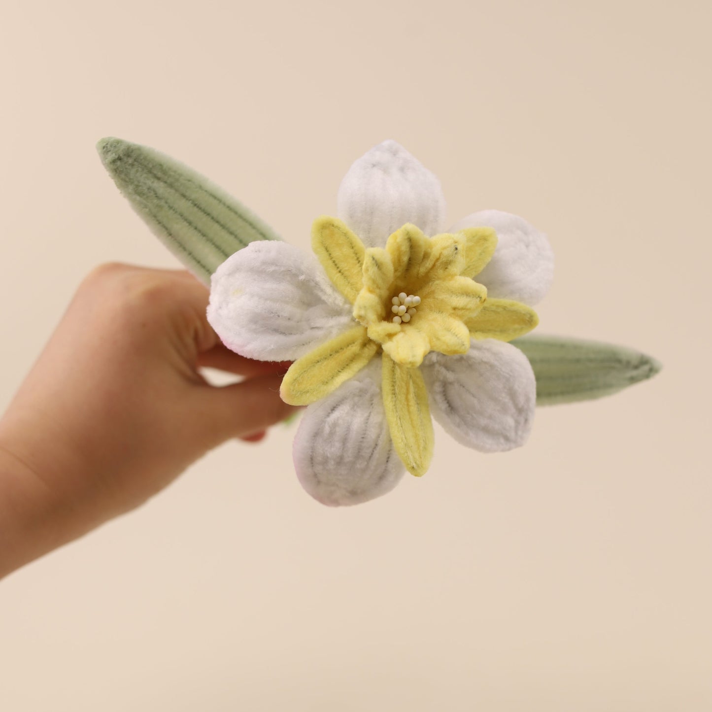 Daffodil DIY Kit