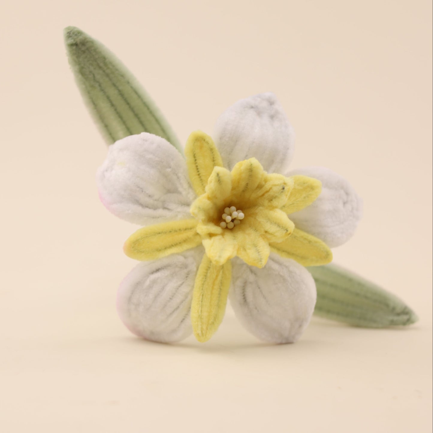 Daffodil DIY Kit