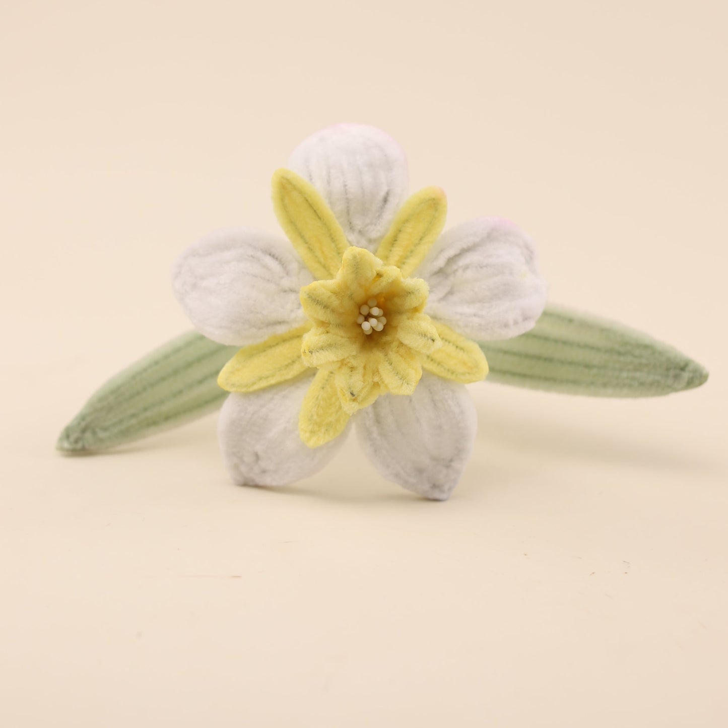 Daffodil DIY Kit