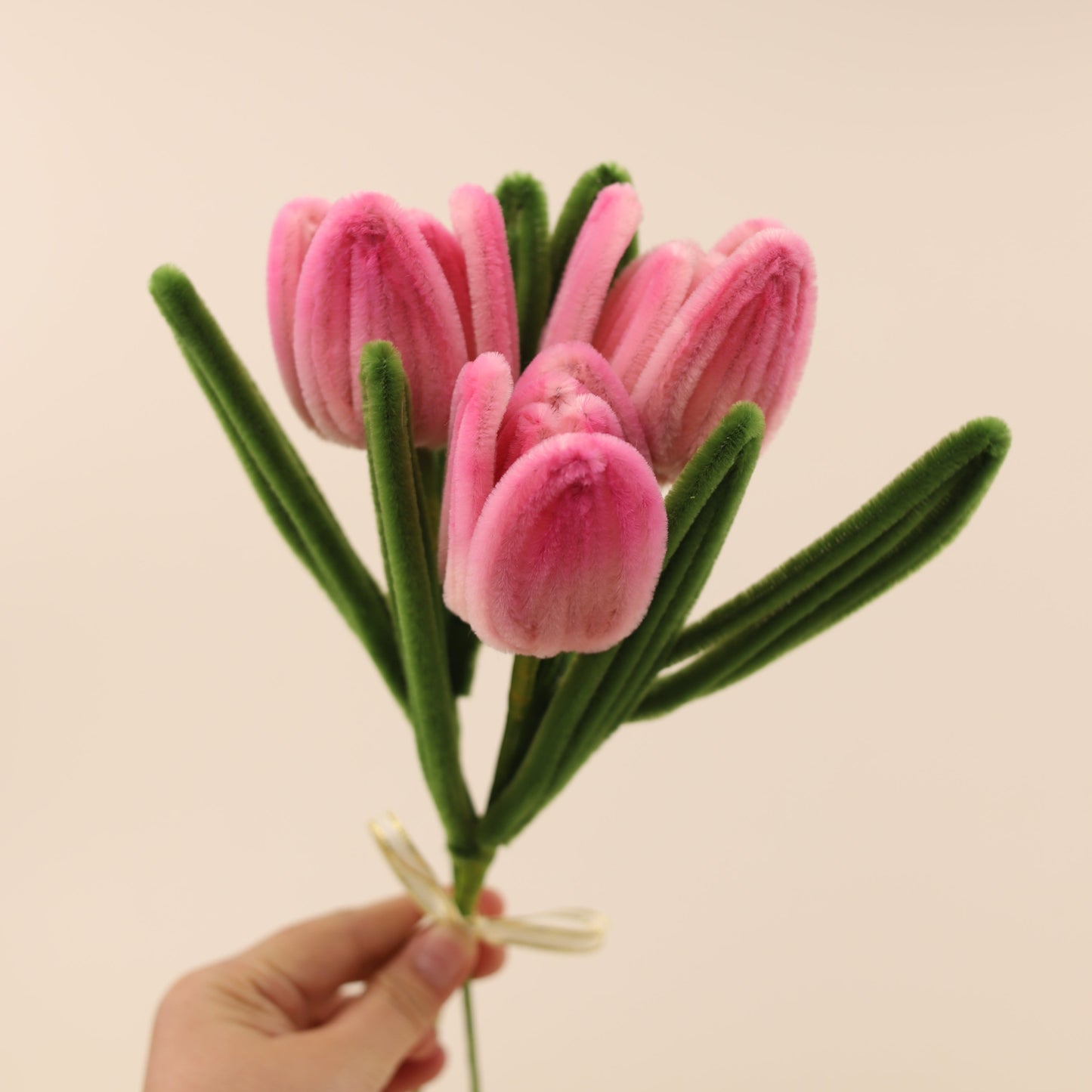 Tulips DIY Kit