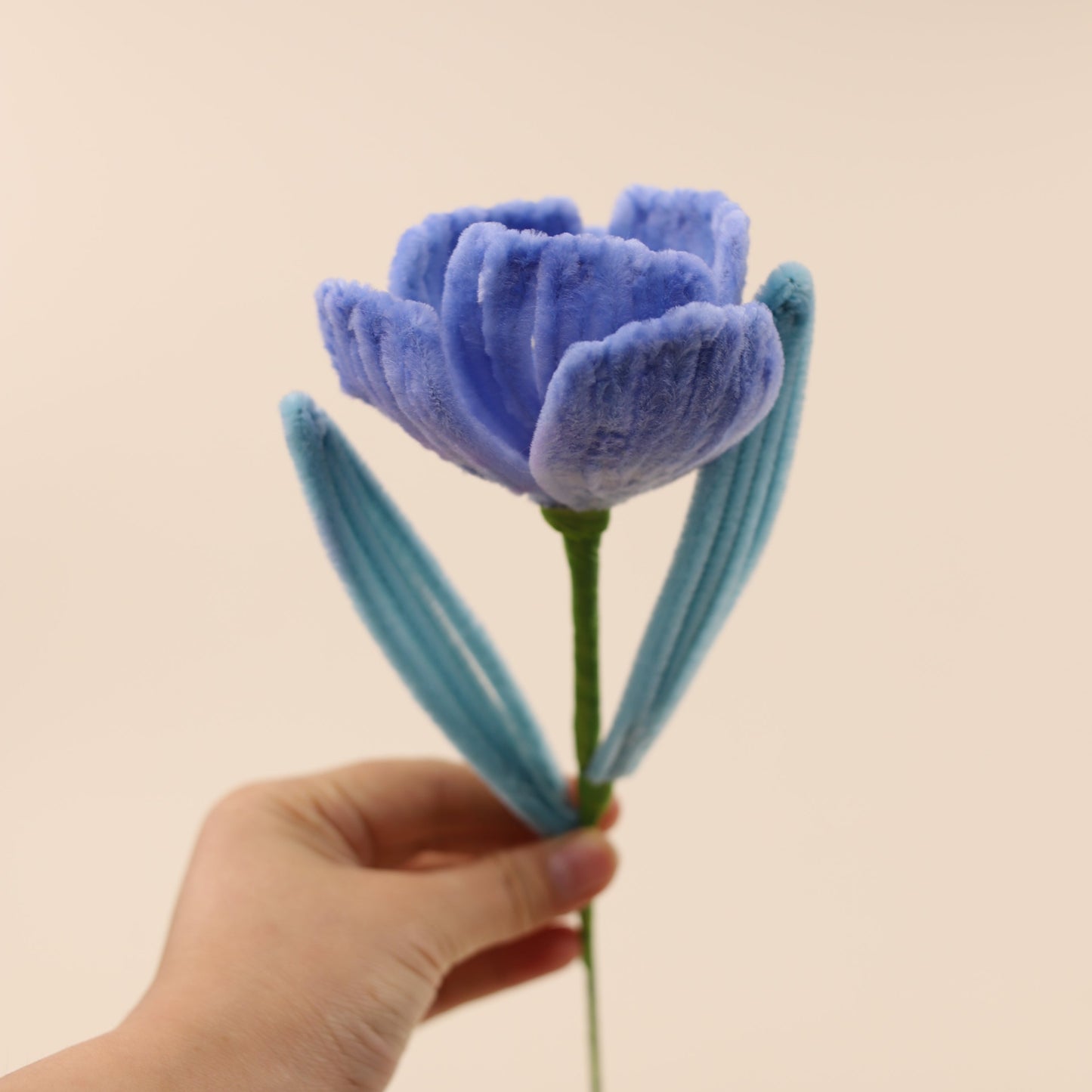 Hibiscus DIY Kit