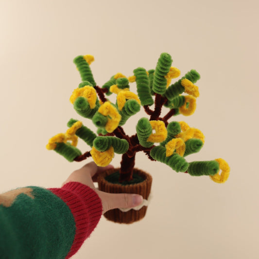 Money Tree DIY Kit