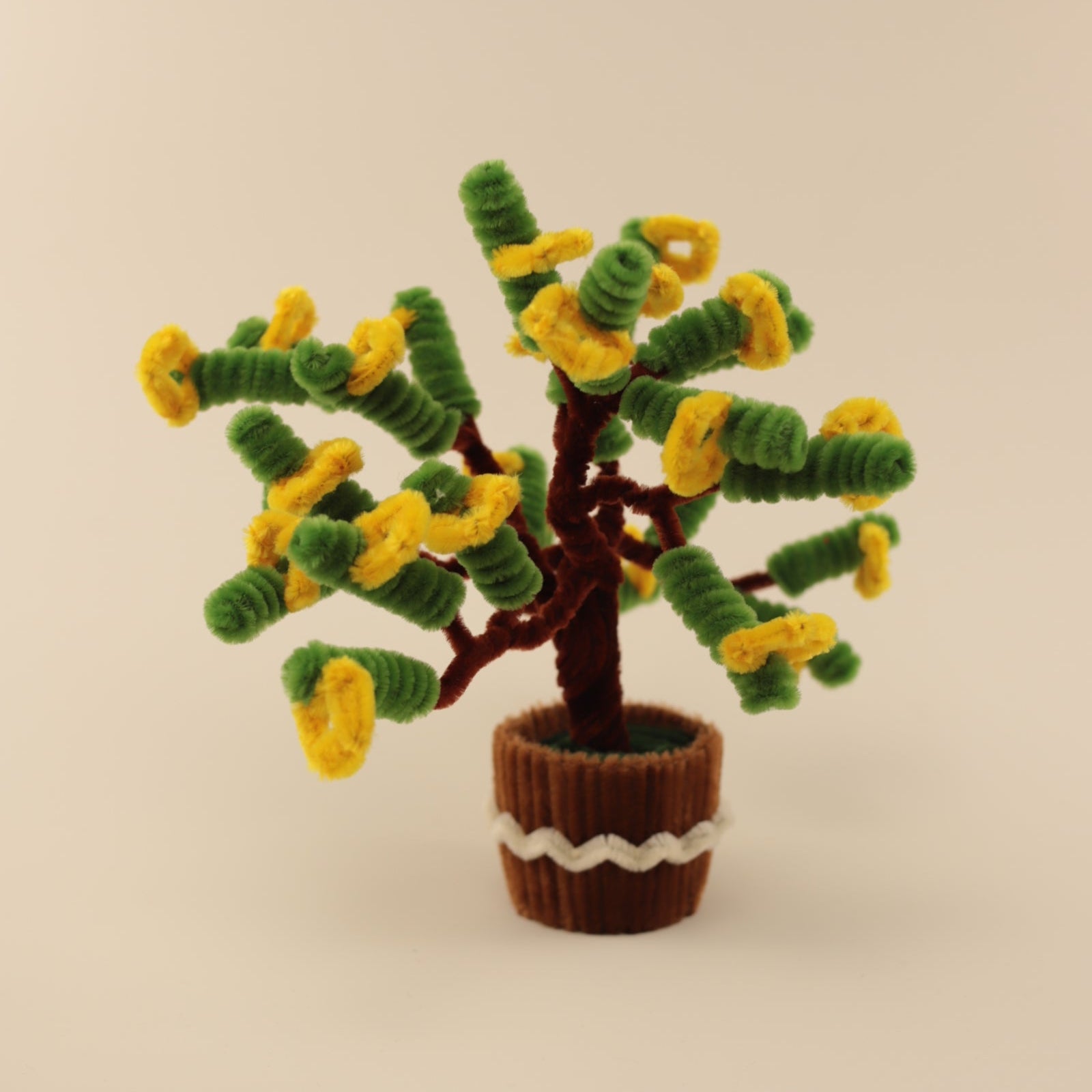 Money Tree DIY Kit – Fuzzy Pipe