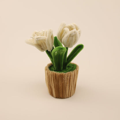 Tulips DIY Kit