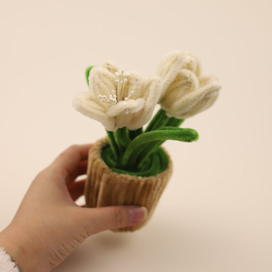 Tulips DIY Kit