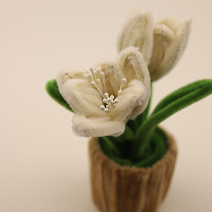 Tulips DIY Kit