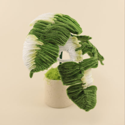 Monstera DIY Kit