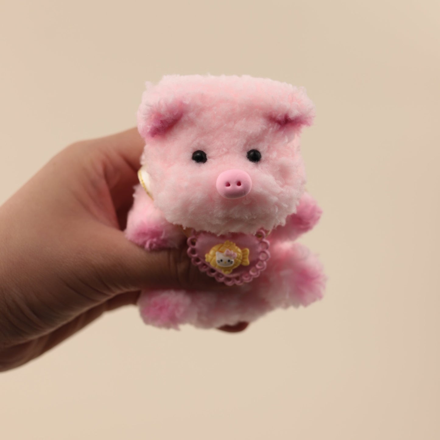 Baby Piggy DIY Kit