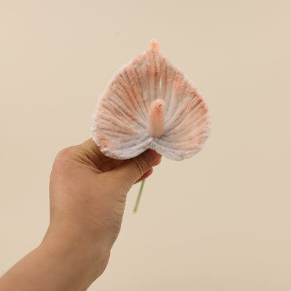 Anthuriums DIY Kit