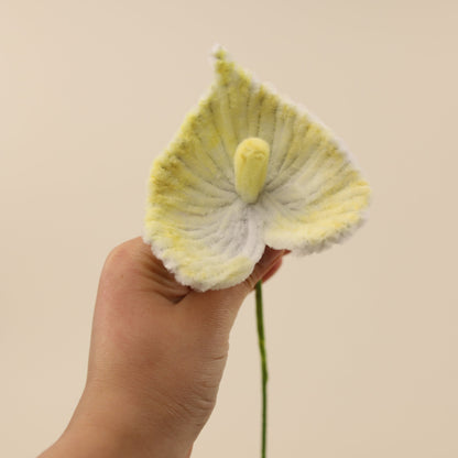 Anthuriums DIY Kit