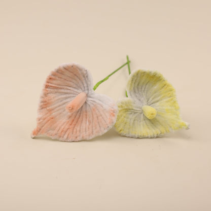Anthuriums DIY Kit