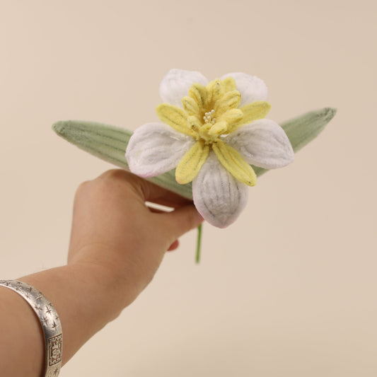 Daffodil DIY Kit