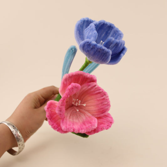 Hibiscus DIY Kit