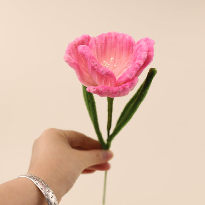 Hibiscus DIY Kit