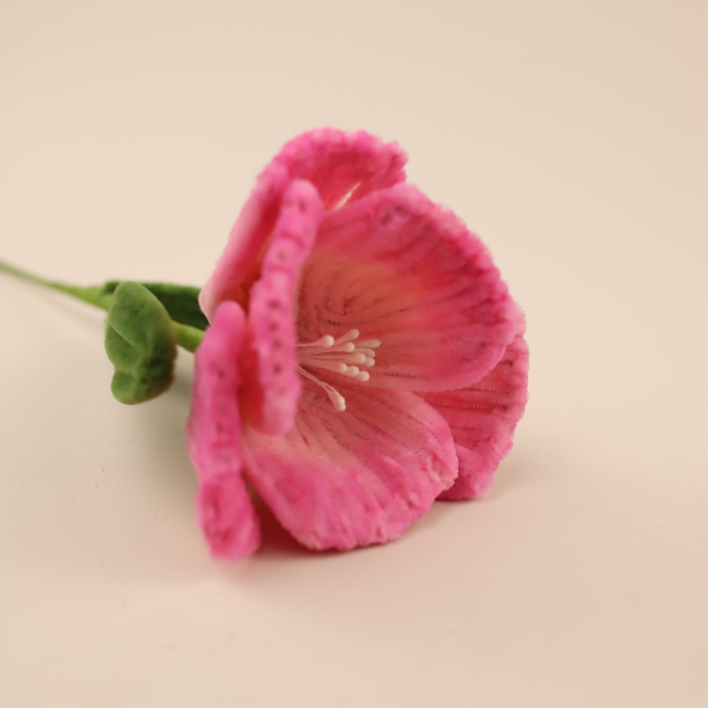 Hibiscus DIY Kit